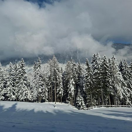 Casableiberg - Garten Apartment - Naturpark Dobratsch باد بلايبرغ المظهر الخارجي الصورة